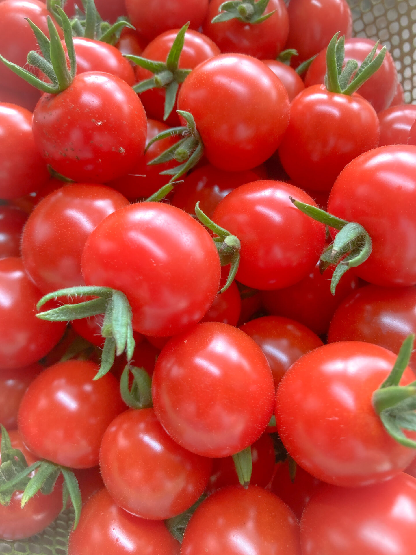 プレミアムルビー